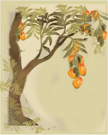 Narra Tree Philippines Drawing, Mango Tree Painting, Mango Tree Aesthetic, Background Buah, Mango Tree Tattoo, Mango Tree Drawing, Mango Tree Illustration, Mango Tree Images, Mango Illustrations