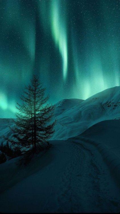 Be happy for this moment. This moment is your life. Northern Lights Wallpaper, Northern Lights Photo, Northern Lights Photography, Northen Lights, Northern Lights (aurora Borealis), Aurora Borealis Northern Lights, Winter Scenery, The Aurora, The Night Sky