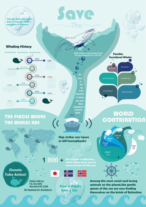 40 Creative Infographics to Inspire You | Piktochart Infographic Design Simple, 3d Data Visualization, Info Poster, Infographic Examples, Scientific Poster, Infographic Layout, Infographic Inspiration, Infographic Design Layout, Save The Whales