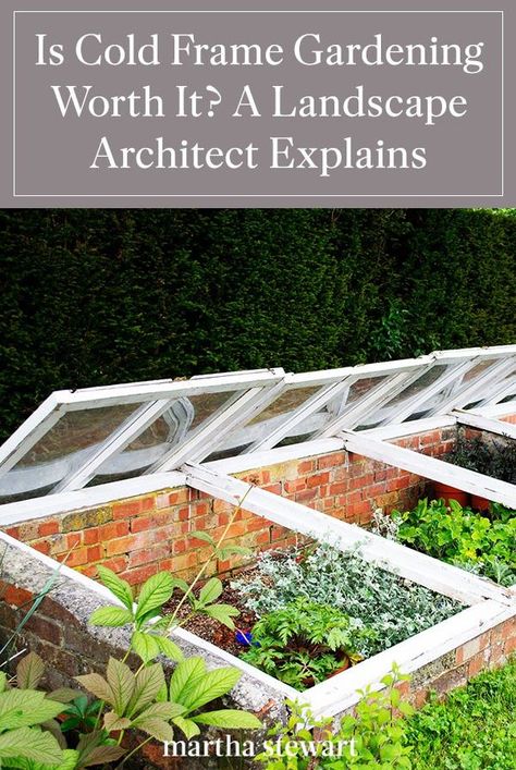 Learn the basics of what a cold frame greenhouse is, discover what plants you should start with, and determine if it's worth the upfront installation cost and regular maintenance. #gardening #gardenideas #garden #gardendesignideas #marthastewart Vegetable Greenhouse, Plant Parenting, Hardening Off Seedlings, Cold Frame Greenhouse, Cold Frame Gardening, Heating A Greenhouse, Cold Frames, Framed Plants, Green Houses