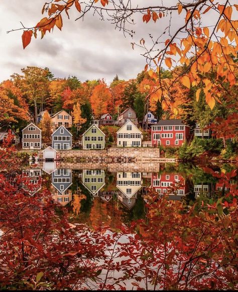 Maine Aesthetic, New England Aesthetic, Studera Motivation, Lake Winnipesaukee, England Photography, New England Fall, Autumn Foliage, Autumn Scenes, Autumn Scenery