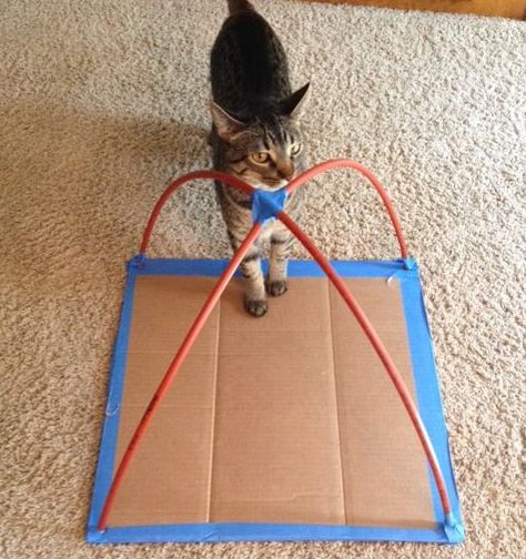 Diy Cat Tent T Shirts, Diy Cat Tent How To Make, Pet Tent Diy, Cat Tents Diy How To Make, Cat Tepee House Diy, Diy Cat Teepee, Dog Tent Diy, Diy Cat Hideout, Diy Kitten Playpen