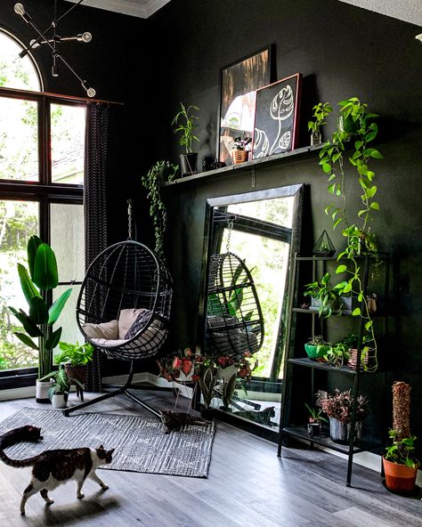 This black moody plant room is my home. #blackwindows #blackhouse #blackaesthetic #plantroom #plants #plantsofinstagram #pothos #monstera #emo #scene #elderemo #djsbeercave Dark Boho Goth Decor, Dark Plant House Aesthetic, Black And Green Decor, Future Moodboard, Dark Living Room Ideas, Dark Apartment, Goth Hippie, Apartment Things, Crystal Room