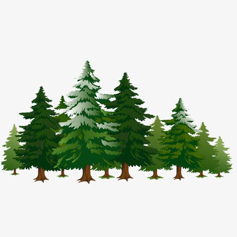 Pin Tree Drawing, Spruce Tree Drawing, Pine Tree Cartoon, Pine Trees Drawing, Tree Cartoon Images, Pine Tree Clipart, Scrapbook Furniture, Cacing Tanah, Garden Flags Ideas