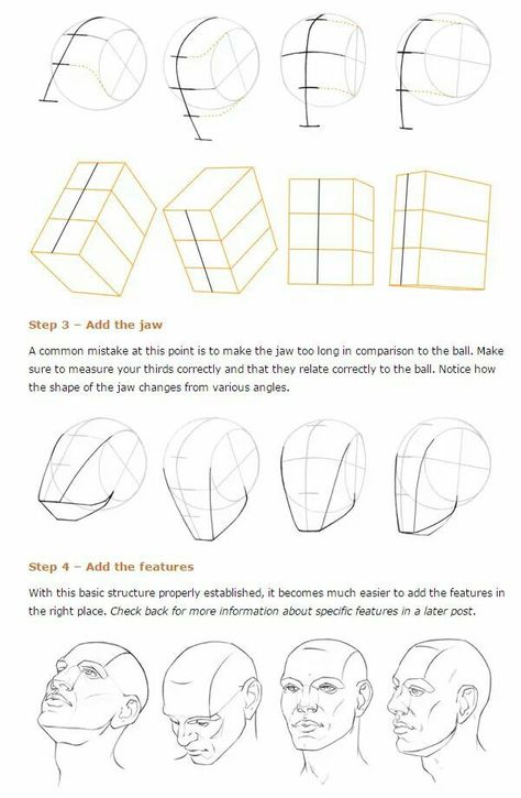 Head In Perspective, Drawing The Human Head, Drawing Proportions, ليلو وستيتش, Head Anatomy, Face Proportions, Human Body Drawing, 얼굴 드로잉, Drawing Tutorial Face