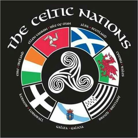 Celtic nations Scotland Symbols, Clan Symbols, Celtic Nations, Celtic Pride, Celtic Heritage, Celtic Culture, Celtic Mythology, Irish History, Celtic Symbols