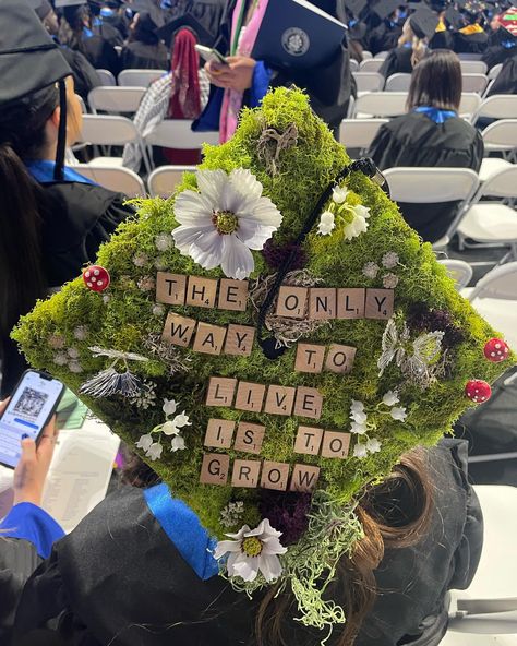 Commencement on our minds, fabulous grad caps on our heads! Check out these fantastic cap designs from our recent grads! 🎓💙#TheStateWay… | Instagram Unique Caps For Graduation, Decorative Graduation Caps, Cool Graduation Cap Designs, Cool Cap Ideas, Pitbull Graduation Cap, Creative Graduation Cap Designs, Grad Cap Ideas Bookworm, Graduation Cap Designs Tlou, Decorated College Graduation Caps