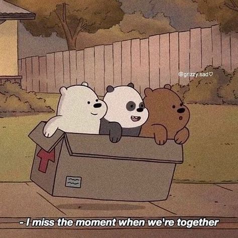 We Bare Bears | We Baby Bears (@webarebears.official) • Instagram photos and videos We Are Bears, Ice Bear We Bare Bears, Bear Quote, We Bare Bears Wallpapers, Ice Bears, Three Bears, Cute Panda Wallpaper, Cute Images With Quotes, We Bear