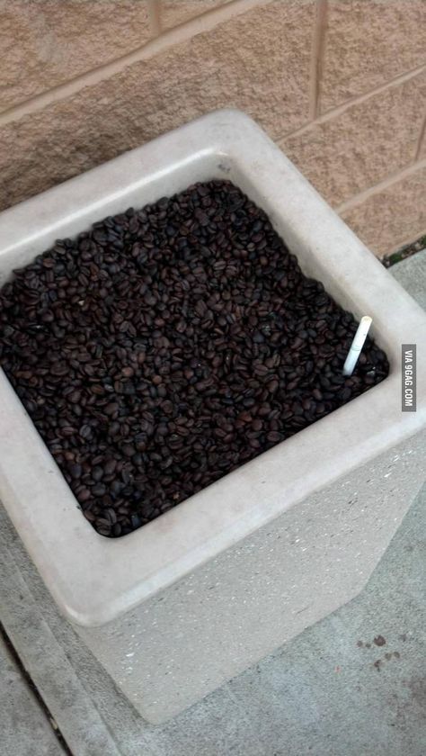 The Dunkin Donuts near me uses coffee beans in their ashtray Ashtray Ideas Clay, Outdoor Ashtray Ideas, Coffee Shop Designs, Diy Ashtray, Ashtray Ideas, Brunch Sign, Coffee House Design, Clever Coffee, Outdoor Ashtray