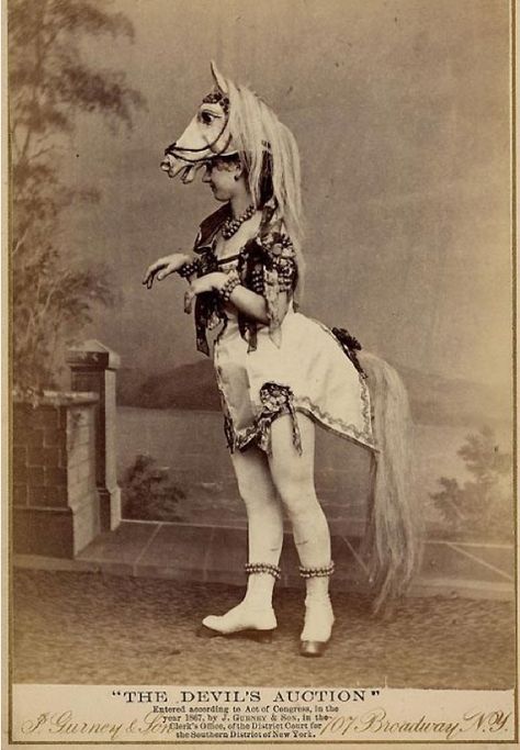 Cirque Vintage, Victorian Horse, Burlesque Vintage, Vintage Foto's, Vintage Burlesque, Horse Costumes, Exotic Dance, Vintage Circus, Arte Inspo