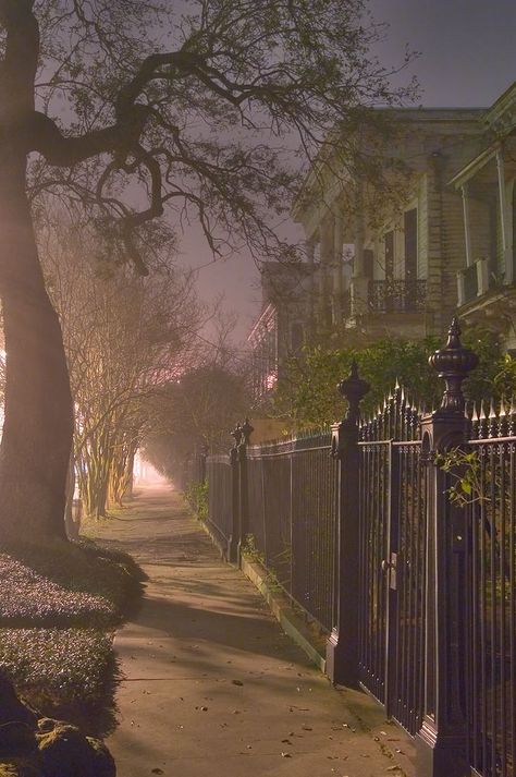 New Orleans Witch, Southern Gothic Aesthetic, Carriage Ride, Louisiana Usa, The Vampire Chronicles, Anne Rice, Garden District, Southern Gothic, Gothic Aesthetic