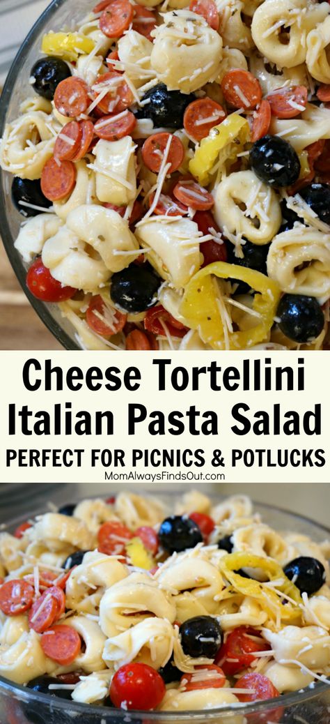 Three Cheese Tortellini, Italian Pasta Salad, Pasta Salad With Tortellini, Tortellini Recipes, Tortellini Pasta, Salad Salad, Tortellini Salad, Salad Pasta, Pasta Salad Recipe