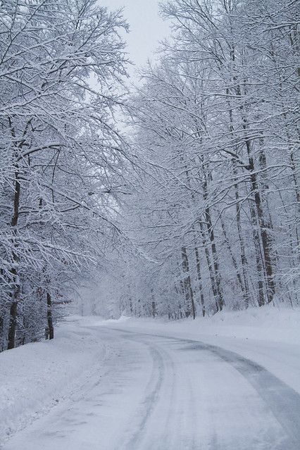 Snow Widget, Perspective Scenery, Snowy Terrain, Snow Picture, Winters Tafereel, Winter Road, Snow Pictures, Winter Nature, Winter Photos