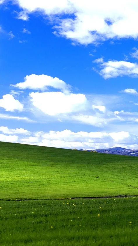 Microsoft Xp Wallpaper, Windows Bliss Wallpaper, Bliss Windows Xp, Microsoft Wallpaper, New Windows, Windows Xp, Back In Time, Android Wallpaper, Mobile Wallpaper