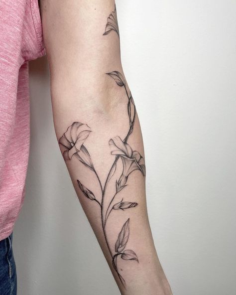 Morning Glory Forearm Tattoo, Coverup Tattoo Forearm, Morning Glory Wrap Around Tattoo, Morning Glory Tattoo Sleeve, Dainty Morning Glory Tattoo, Morning Glory Arm Tattoo, Morning Glory Tattoo Black And White, Flowers On Arm Tattoo, Morning Glory Vine Tattoo