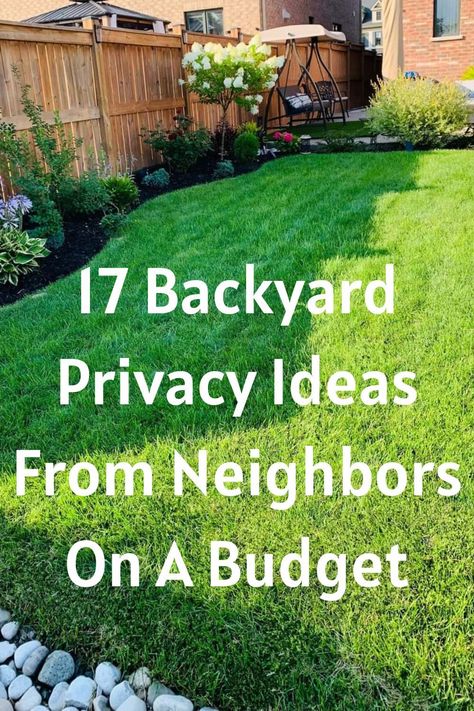 Creative Landscaping Ideas for a Stunning Garden (#97) - Vertical Gardens Backyard Privacy Ideas From Neighbors Fence, Backyard Patio Privacy Ideas, Small Garden Privacy Ideas, Diy Outdoor Privacy Ideas, Ideas For Privacy From Neighbors, Garden Screening Ideas Cheap, Adding Privacy To Backyard, How To Landscape Backyard, Add Privacy To Backyard