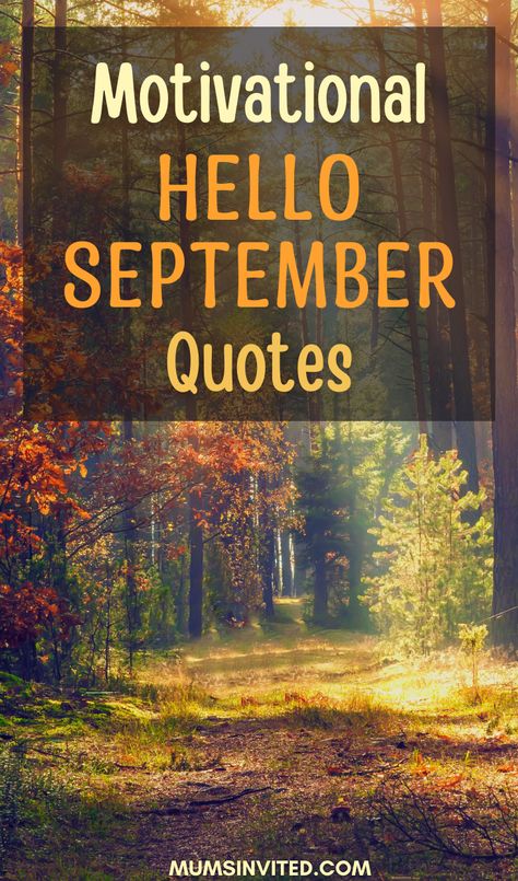 Happy September! Embrace the beauty of this autumn month as we bid farewell to August. Welcome your birthday month with open arms and a heart full of gratitude. Let the inspiring words and funny quotes uplift your spirits and add meaning to life. Enjoy the aesthetic pleasures of fall, savoring moments with a cup of coffee. Here's to new adventures and personal growth in September! September Morning Quotes, September 1st Meme, September To Remember Quotes, Letter Board September, Good Morning September 1st, September 1st Quotes Inspirational, Hello September Quotes Happy, Happy September Quotes, September New Month Quotes