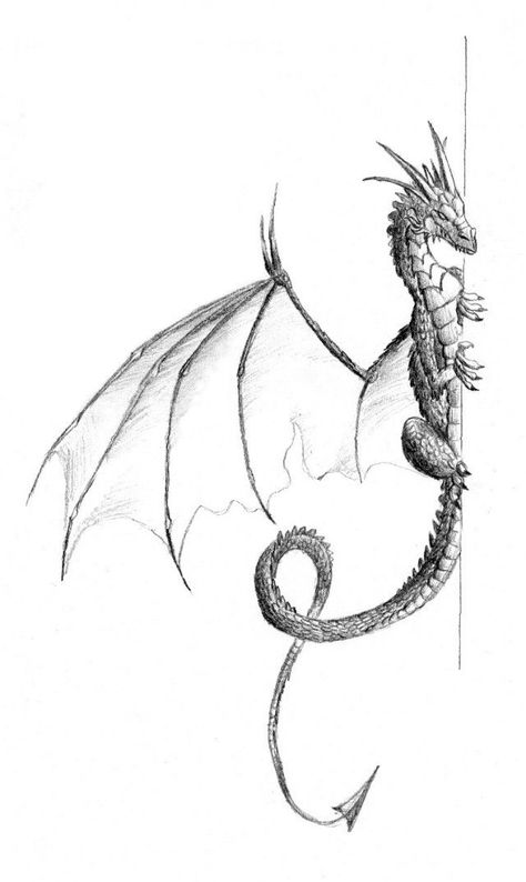 The article features both realistic and cartoon forms of dragons like flying dragons, dragons with knights and fire breathing dragons. Description from pinterest.com. I searched for this on bing.com/images Tre Kunst, Couple Drawing, Drawing Eyes, Dragon Sketch, Desen Anime, Celtic Tattoos, Drawing Faces, Dragon Wings, Dragon Artwork