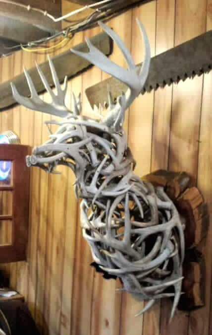 Awesome deer mount out of sheds Deer Antler Decor Ideas, Draw Wolf, Deer Hunting Decor, Antler Ideas, Antler Mount, Deer Antler Decor, Antlers Decor, Antler Crafts, Deer Mounts