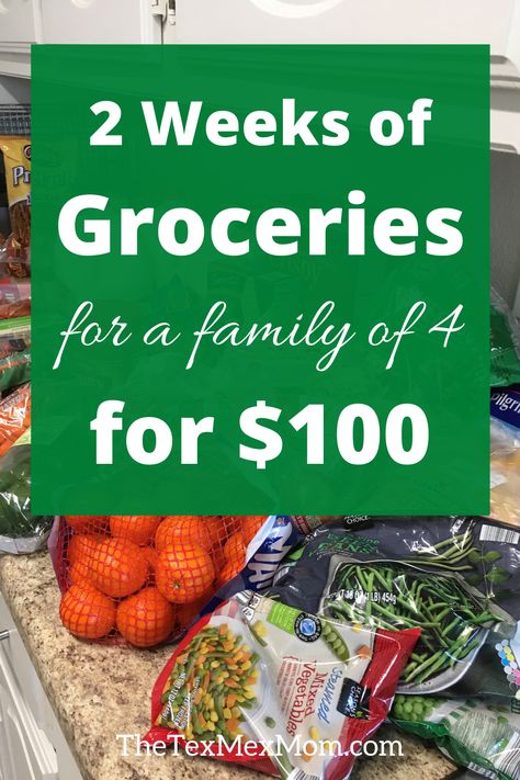 Two Weeks of Groceries for $100 | Simple Menu and Grocery List! Two Week Meal Plan, Basic Grocery List, Cheap Grocery List, Frugal Meal Planning, Cheap Family Meals, Cheap Groceries, Aldi Meal Plan, Meal Plan Grocery List, Budget Meal Planning