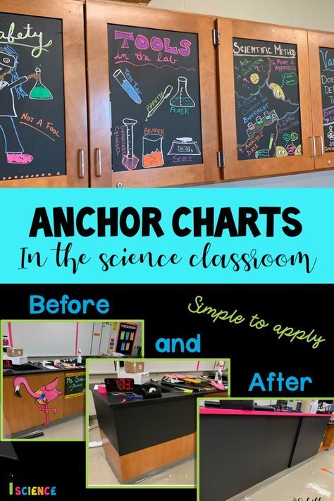 Biology Classroom Decorations Ideas, Decorating Science Classroom, Science Lab Classroom Decorations, Ag Science Classroom, High School Science Room, High School Science Classroom Ideas, Science Lab Classroom Design, Chemistry Anchor Charts High Schools, Classroom Decor High School Science