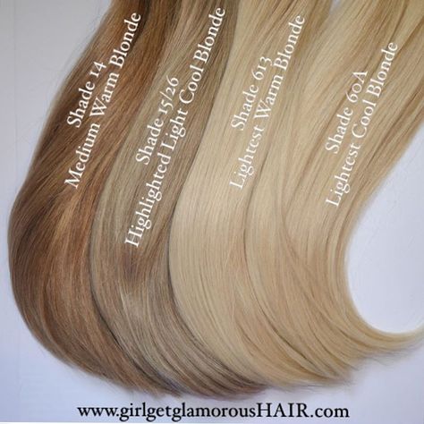 girlgetglamorousHAIR on Instagram: “Meet Our Blondes!  Shade 15/26 is a great match for most cool highlighted blondes, Shade 14 is a nice medium warm caramel blonde, Shade 613 is an extra light warm blonde, and shade 60A is also an extra light blonde but with cool tones. And those thick ends are #thedoubledrawndifference  #gggHAIR #doubledrawnclipinextensions www.girlgetglamorousHAIR.com” Tmavý Blond, Blonde Hair Extensions, Caramel Blonde, Warm Blonde, Hair Color Shades, Beige Blonde, Cool Blonde, Blonde Hair Inspiration, Blonde Hair Shades