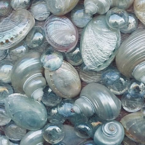 Sea Pearl Aesthetic, Ethereal Sea Aesthetic, Beige Sea Aesthetic, Pearl Ocean Aesthetic, Blue Shell Wallpaper, Sea Breeze Aesthetic, Pretty Color Aesthetic, Aethstetic Blue, Sea Salt Aesthetic