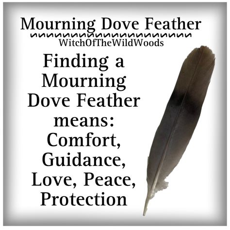 Feather Meaning Spiritual, Feather Spiritual Meaning, Brown And White Feather Spiritual Meaning, White Feather Spiritual Meaning, Feather Color Meaning, Black Feather Spiritual Meaning, Feather Magic, Finding Feathers, Feather Meaning