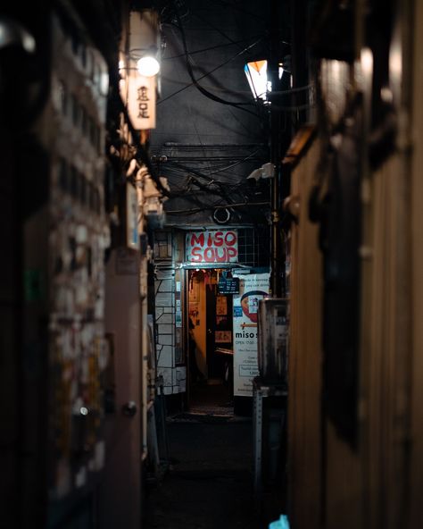 Kabukicho Alley, Tokyo Tokyo Alley, Japanese Neighborhood, Kabukicho, Japanese Travel, Dragon Series, Japan Aesthetic, The Secret, Tokyo, The Neighbourhood