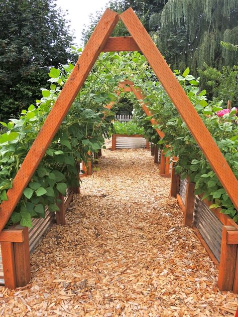 Beautiful vertical gardening/ This might work for cucumbers & other viney crops. Vertical Vegetable Gardens, Vertical Vegetable Garden, Vertical Gardening, Plants Growing, Garden Types, Veg Garden, Secret Gardens, Have Inspiration, The Secret Garden