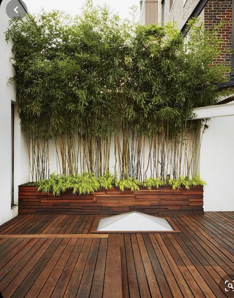 Wall Hanging Plants Indoor, Urban Garden Design, Bamboo In Pots, Pinterest Garden, Hanging Plants Indoor, Bamboo Garden, Walled Garden, Garden Architecture, Rooftop Garden