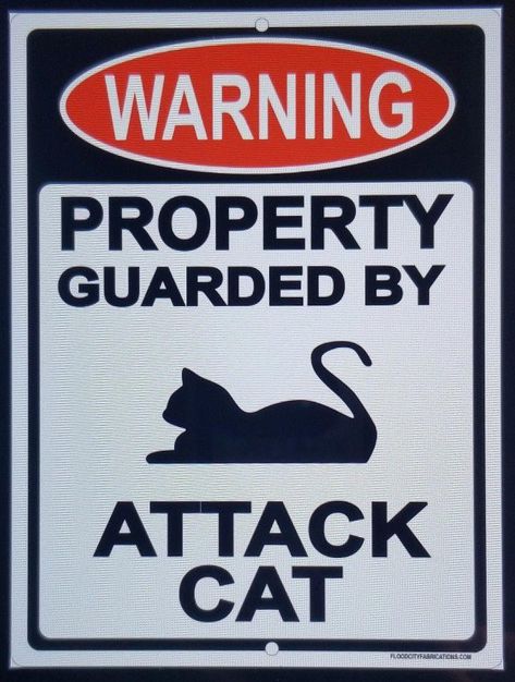 Caution Signs Aesthetic, Warning Signs Aesthetic, Danger High Voltage, Danger Danger, Cat Tattoo Designs, Cats Black, Month Of May, Arts N Crafts, Pet Signs