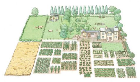 Lovely little illustration of a small self-sufficient farm. Vegetable Garden Design, Farming Ideas, Self Sustaining, Homestead Farm, Food Production, Crop Rotation, Farm Style, Easy Garden, Fantasy Landscape