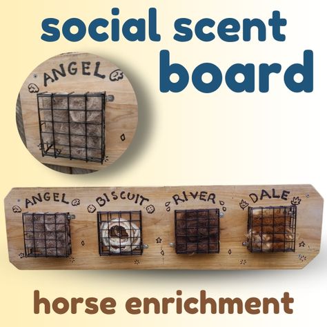 Horse Enrichment, Enrichment Projects, Paddock Paradise, Horse Stall, Horse Stalls, Miniature Horse, Paint Marker, Love Craft, Wooden Board