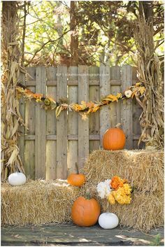 Harvest Mini Sessions Galloway, New Jersey, Bokeh Love Photography, Fall, Pumpkins, Hay, September, October, November Fall Backdrop Ideas, Fall Photo Booth, Fall Photo Props, Pumpkin Patch Photoshoot, Fall Harvest Party, Fall Backdrops, Mini Photo Sessions, Harvest Fest, Photoshoot Backdrops