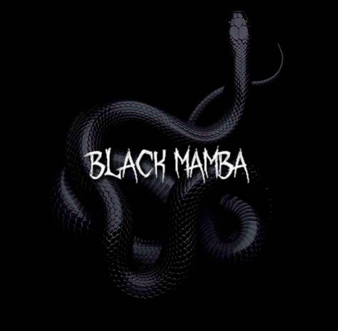 Black Mamba Aesthetic, Black Mamba Aespa, Black Mamba Logo, Aespa Black Mamba, Winter Karina, Sneakers Wallpaper, Ning Ning, Karina Giselle, Mma Training