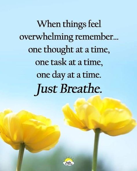 Now Quotes, Hug Quotes, Thankful Grateful Blessed, One Day At A Time, Morning Friends, Good Morning Friends, Just Breathe, Inspirational Thoughts, Lesson Quotes