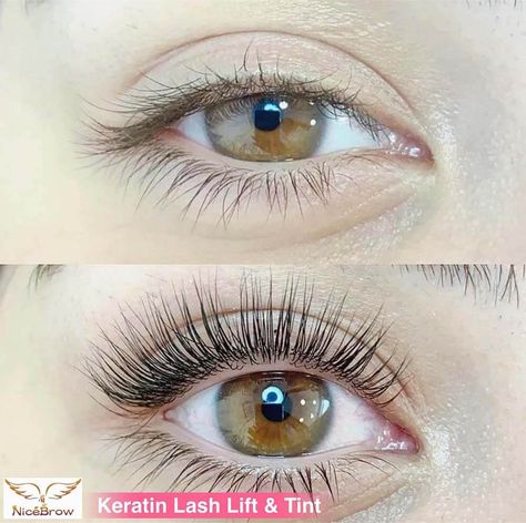 Keratin Lash Lift - Everything You Need to Know Lash Tint And Lift, Types Of Eyelash Extensions, Eyelash Lift And Tint, Keratin Lash Lift, Semi Permanent Lashes, Long Lashes Mascara, Natural Fake Eyelashes, Evening Eye Makeup, Grow Lashes