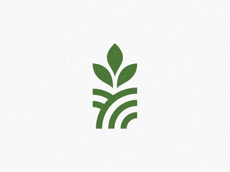 Sustainable Brand Logo, Seed Branding, Seed Logo Design, Plant Logo Design, Sprout Logo, Plants Logo, Growth Logo, Logo Real Madrid, Seed Logo