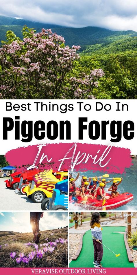 Visiting Pigeon Forge in April is perfect if your favorite thing to do involves outdoor adventures and food festivals. The post 10 Best Things To Do In Pigeon Forge In April appeared first on VeraVise Outdoor Living. Mountain Coaster, Pigeon Forge Vacation, Smoky Mountains Tennessee, Smoky Mountains Vacation, Pigeon Forge Tennessee, Mountain Destinations, Tennessee Travel, Spring Travel, Pigeon Forge Tn