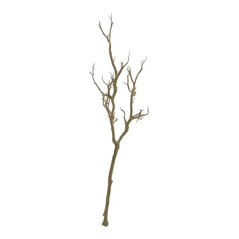 8 Pack: Brown Bare Birch Branch by Ashland® | Michaels Tree Branch Decor, Manzanita Branches, Christmas Tree Sale, Birch Branches, Hanging Necklaces, Halloween Village, Fabric Ideas, Tall Vase, Branch Decor