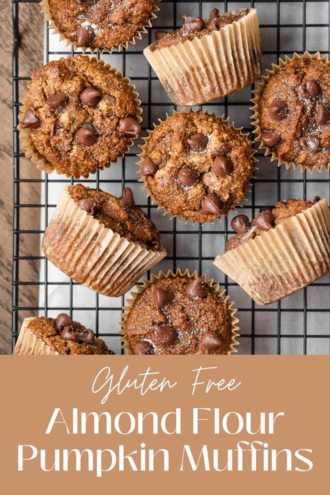 These gluten free almond flour pumpkin muffins are perfect for Fall! They are super moist, fluffy, and naturally sweetened with coconut sugar. Loaded with chocolate chips and pumpkin pie flavor, you'll want to have one every morning for breakfast! Almond Flower Pumpkin Muffins, Almond Flour Pumpkin Muffins, Almond Flour Pumpkin, Fall Yummies, Mat Inspiration, Gluten Free Pumpkin Muffins, Pumpkin Muffin Recipes, Baking With Almond Flour, Pie Flavors