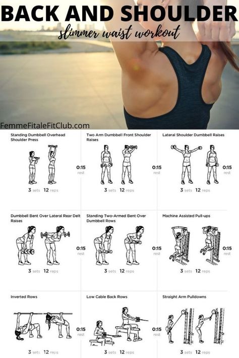 Get a snatched waist by toning up your shoulders and back with this workout. #slimmerwaistworkout #womenshealth #shoulderworkout #backworkout #health #fitness #fitfam Top Back Workouts, Womens Back And Shoulder Workout, Shoulder Back And Arms Workout, Free Weight Shoulder Exercises, Shoulder And Back Exercises For Women, Back And Shoulder Hiit Workout, Back Biceps And Shoulder Workout, Shoulder Back Workout For Women, Shoulder Workout With Weights