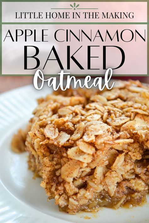 Apples And Cinnamon Baked Oatmeal, Gluten Free Apple Baked Oatmeal, Apple Cinnamon Protein Baked Oatmeal, Baked Apples Oatmeal, Baked Oatmeal Recipes Apple Cinnamon, Baked Oatmeal Applesauce, Apple Cinnamon Baked Oatmeal Healthy, Baked Apple Overnight Oats, Baked Oatmeal Breakfast Casserole