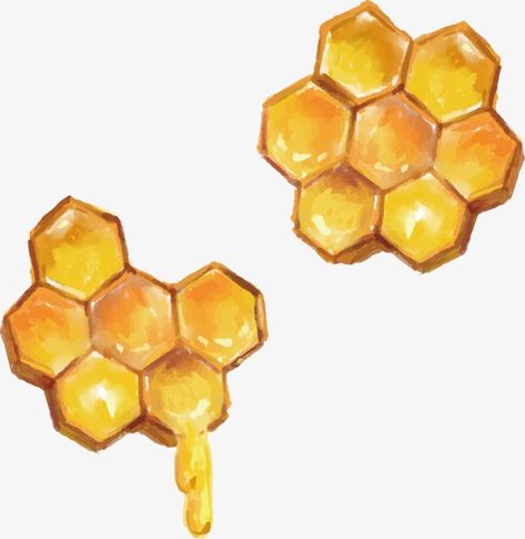 Honey Images Aesthetic, Honey Come Drawing, Honey Painting Art, Bee Png Aesthetic, Honey Comb Drawing Realistic, Bee Honeycomb Painting, Beehive Drawing Honeycombs, Honeycomb Drawing Art, Dripping Honeycomb Drawing