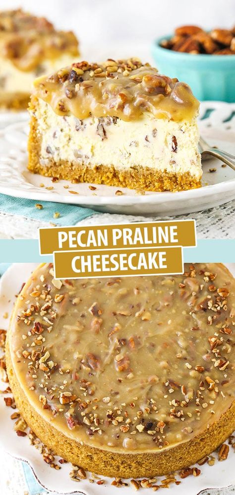 Pecan Praline Cheesecake Recipe, Pecan Praline Cheesecake, Sauce For Cheesecake, Praline Cheesecake, Pecan Sauce, Pecan Praline, Pecan Cheesecake, Pecan Pralines, Cheesecake Desserts