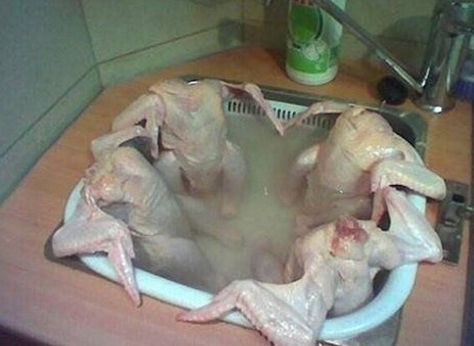 30 Cringey Food Pics That'll Make You Lose Your Appetite - Memebase - Funny Memes Funny Thanksgiving Pictures, Gross Food, Thanksgiving Pictures, Food Memes, Funny Turkey, Sink Kitchen, Weird Images, Chicken Humor, Bath Spa