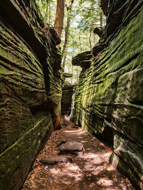 Hiking in Ohio: the Best Cuyahoga Valley National Park Trails — Adrift Aesthetic Cuyahoga Valley National Park Hiking, Wayne National Forest Ohio, Hiking Trail Aesthetic, Hiking In Ohio, Ohio Aesthetic, Ohio Hiking, Ohio Attractions, American Roadtrip, Montana Trip