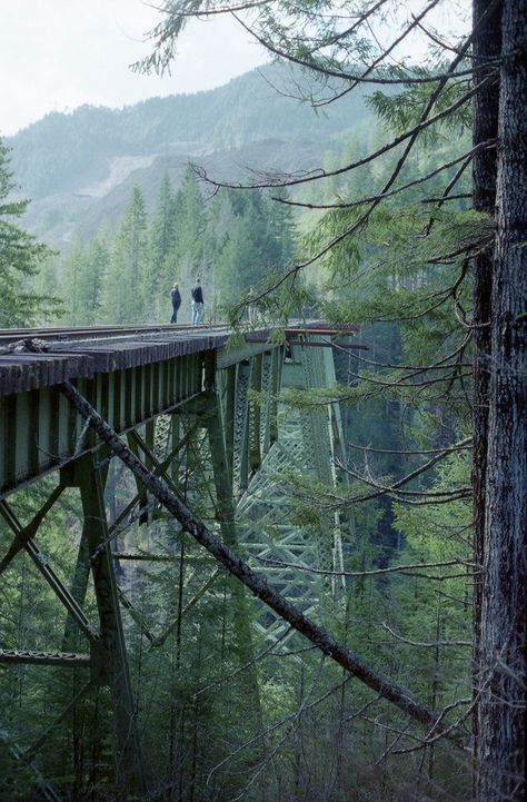 Creek Bridge, Apocalypse Aesthetic, Fotografi Alam Semula Jadi, 판타지 아트, A Bridge, Alam Semula Jadi, Parkour, Nature Aesthetic, Pretty Places