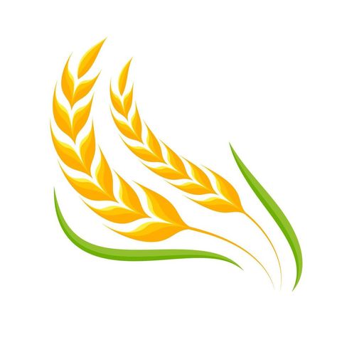 Ears of wheat. Whole grains for making bread. Wheat Vector, Wheat Logo, Rice Flakes, Certificate Background, Making Bread, Whole Grains, Organic Pattern, Pottery Classes, Food Inspo